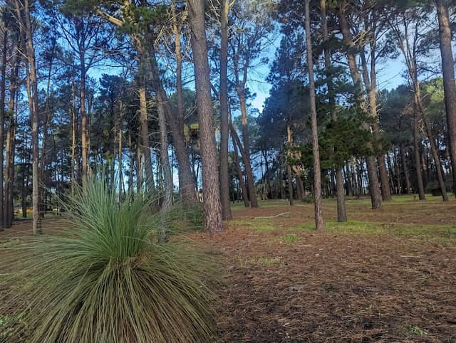 Robert Smith Park - Image 1