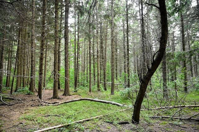 Cumnock Tract West - Image 1