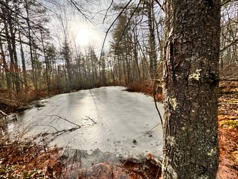 Blandings Park Wildlife Sanctuary - Image 1