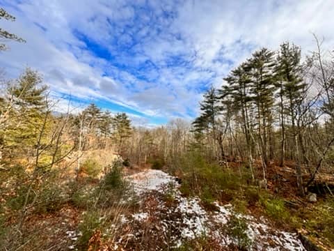 Blandings Park Wildlife Sanctuary - Image 2