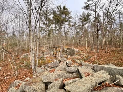 Blandings Park Wildlife Sanctuary - Image 3