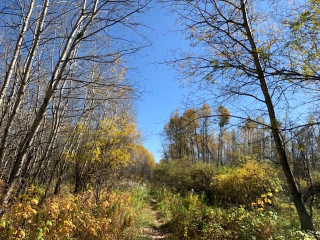 Ministik Lake Game Bird Sanctuary - Image 1
