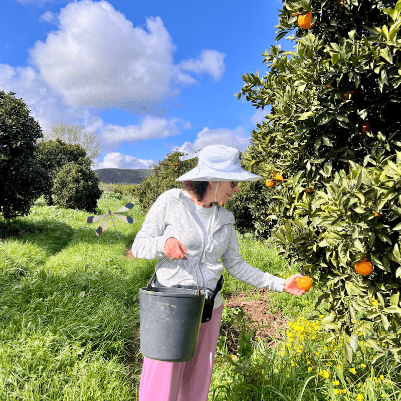 Algarve Food Experiences - Image 1