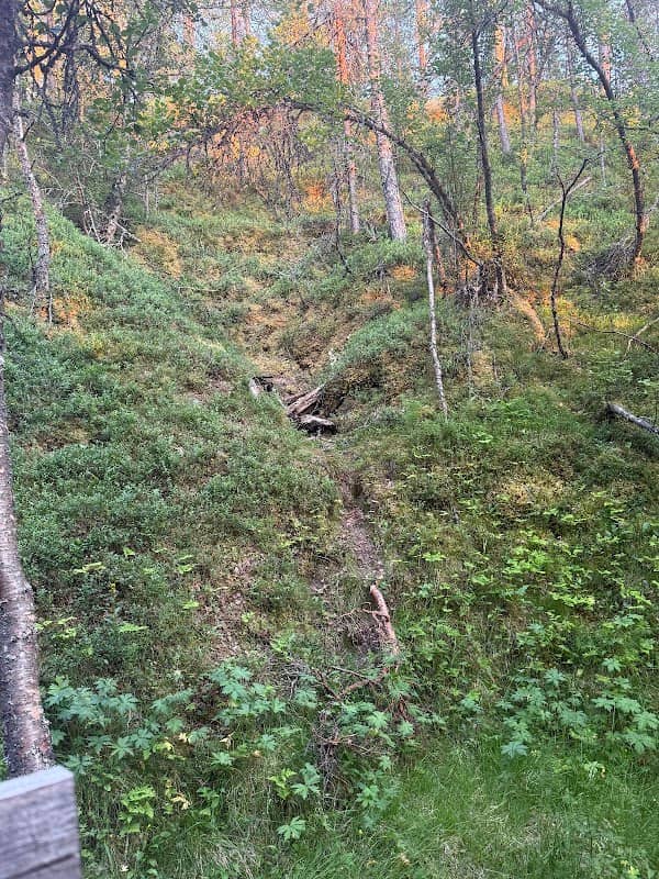Milorghula - Image 1