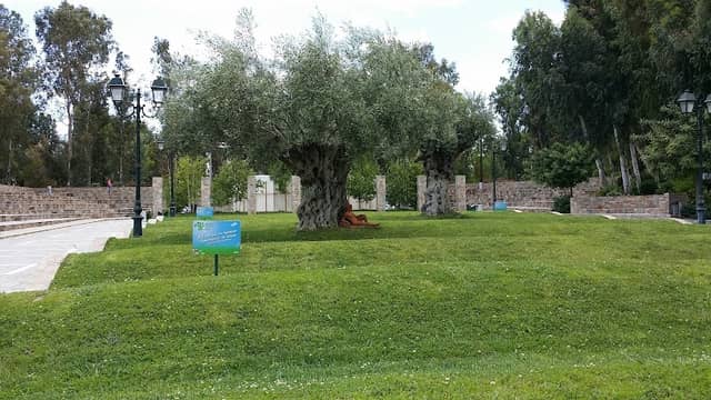 Peristeri Park - Image 1