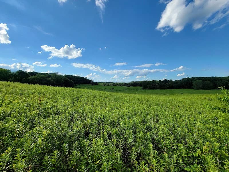 Ridgeview Farm - Image 1