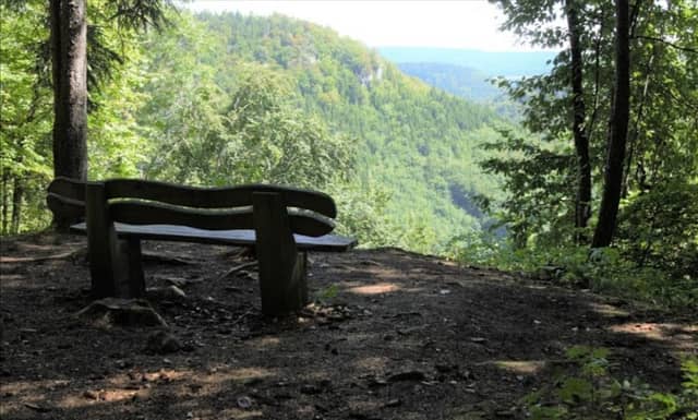 Kapf Aussichtspunkt - Image 1
