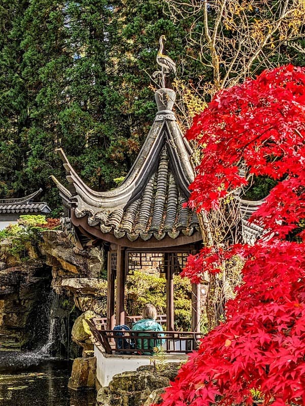 Chinesischer Garten - Image 3