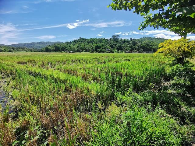 Juanderland - Image 1