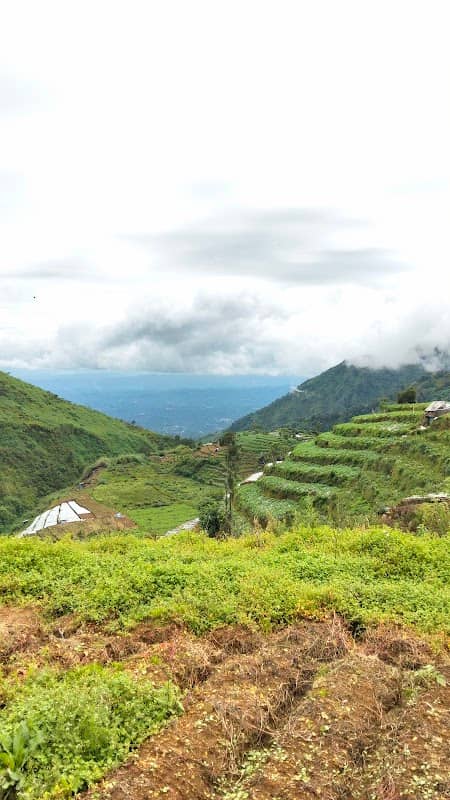 Spot Lautan Awan Sembungan - Image 1