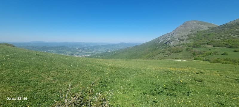 Parco San Guido - Image 1