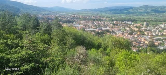 Parco San Guido - Image 2