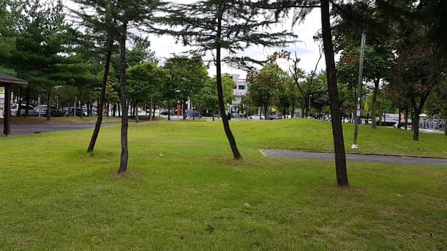 앵무새공원 - Image 2