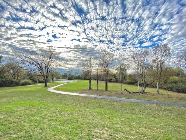 Roscoe Roof Park - Image 2