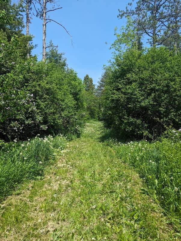 Badenoch Tract (Wellington County Forest) - Image 1