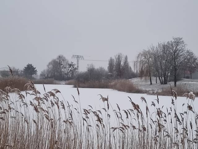 Mühlendorfsee - Image 2