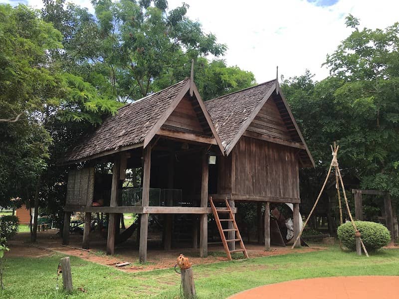 MSU Museum - Image 1