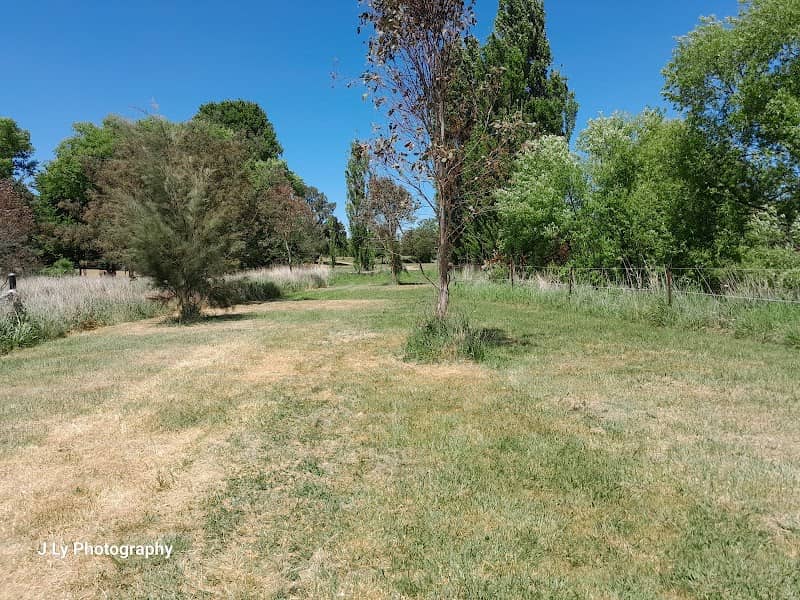 Bruce Bray Riparian Walk - Image 1