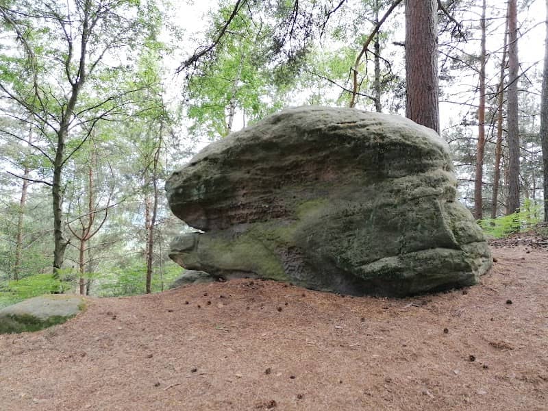 Dinosauří hlava - Image 1