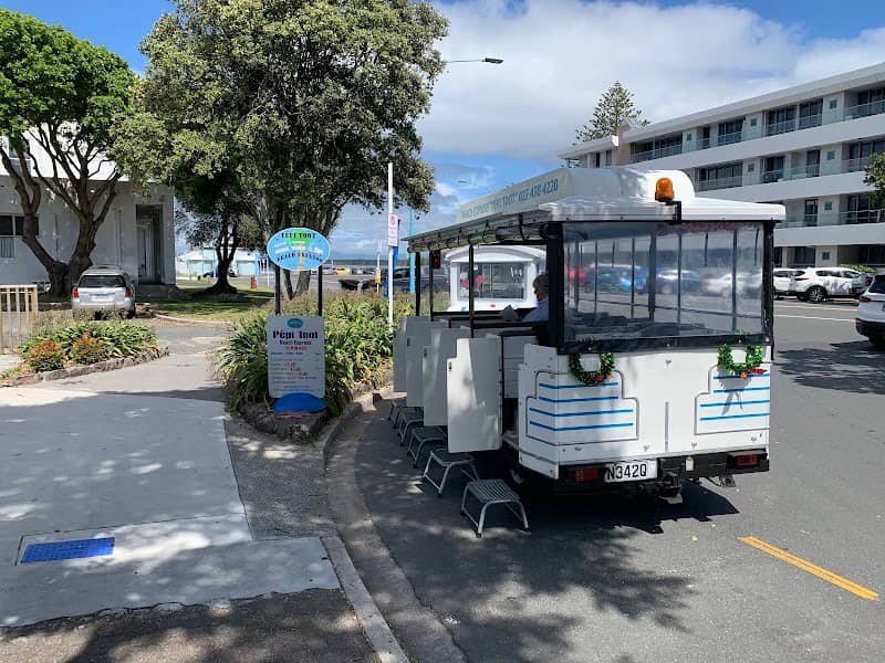 Mount Maunganui "Pepi Toot" Beach Express - Image 2