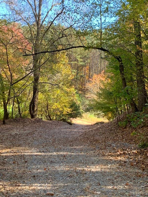 J19 ADVENTURE PARK - Image 1