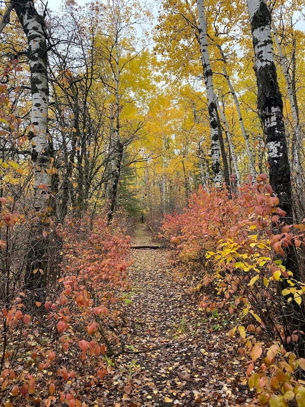 Nimowin Self-Guiding Trail - Image 1