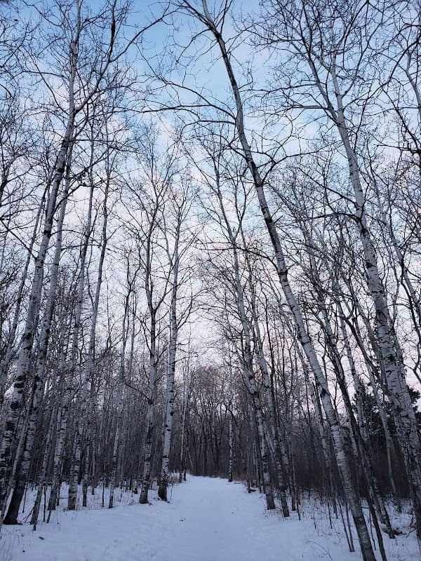 Nimowin Self-Guiding Trail - Image 2