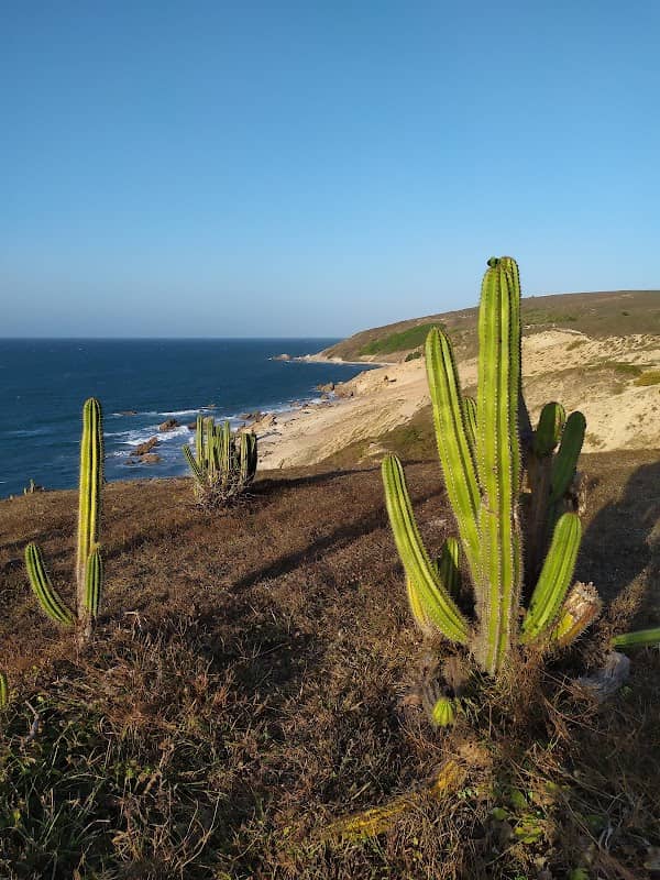 Serrote de Jericoacoara - Image 1