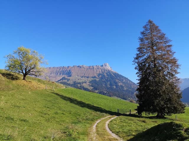 Milchgenossenschaft Bumbach - Image 1