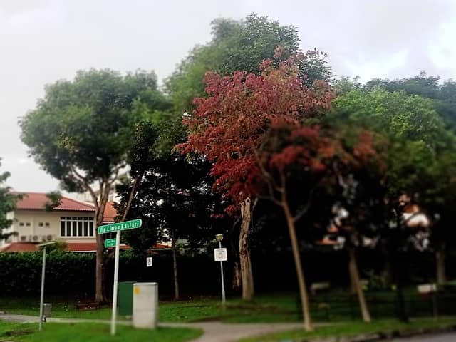 Jalan Limau Kasturi Open Space - Image 1