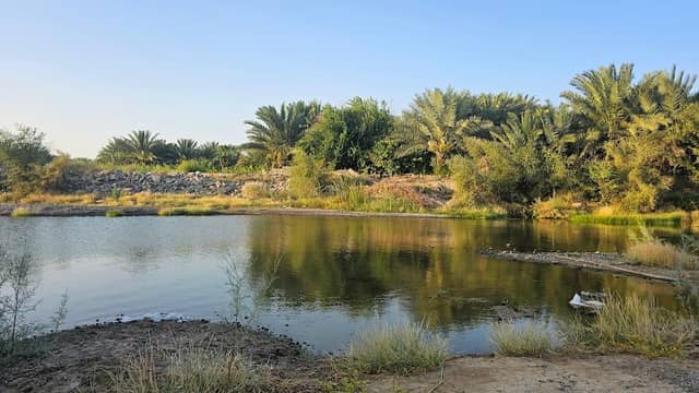 يبة القلعة - Image 1