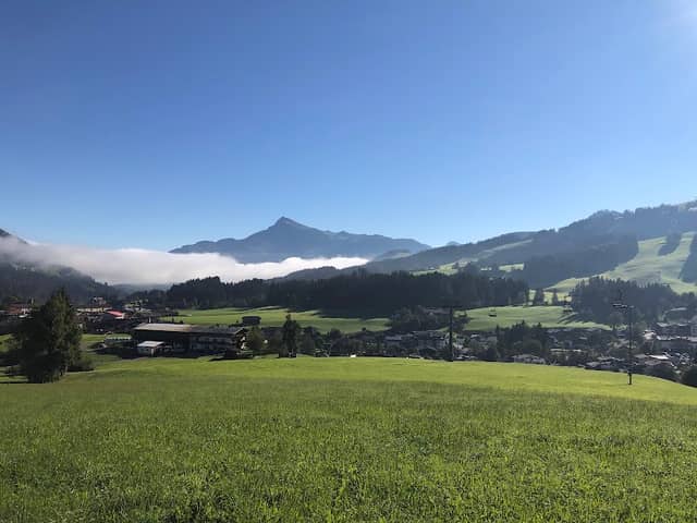 Borkirchbauer - Image 2