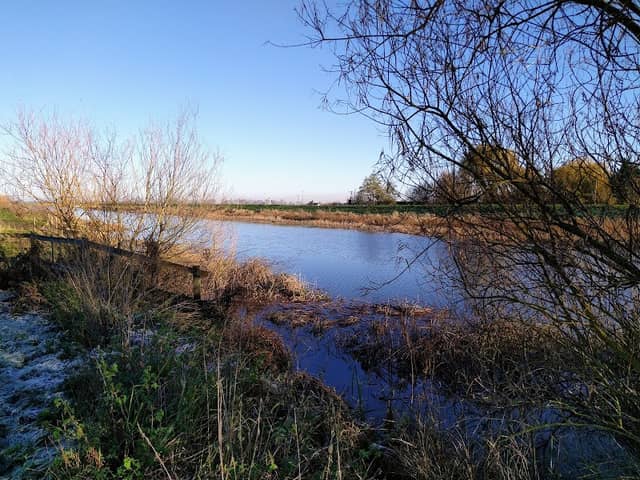 Earith Bridge picnic area - Image 1