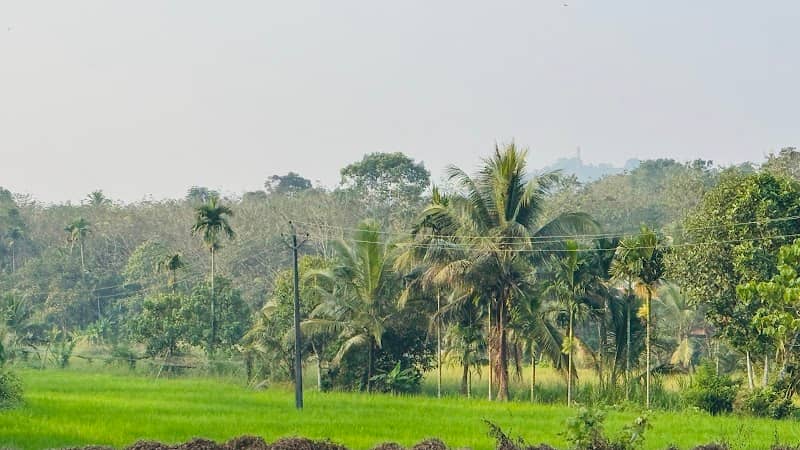 Veranal Padam - Image 1