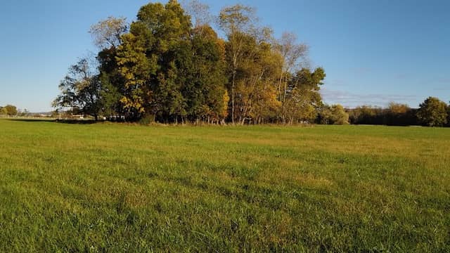 South Shore Wildlife Management Area - Image 2