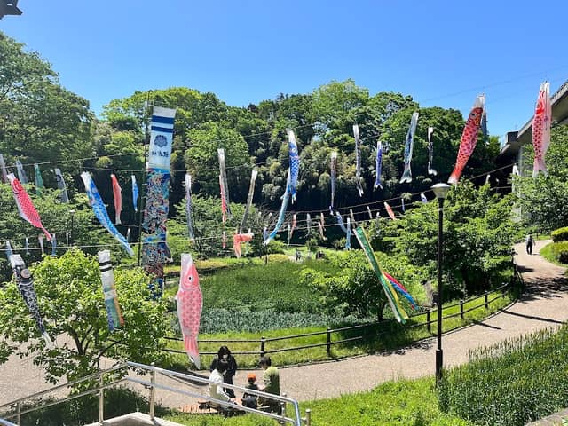Kasayato Water Park - Image 1