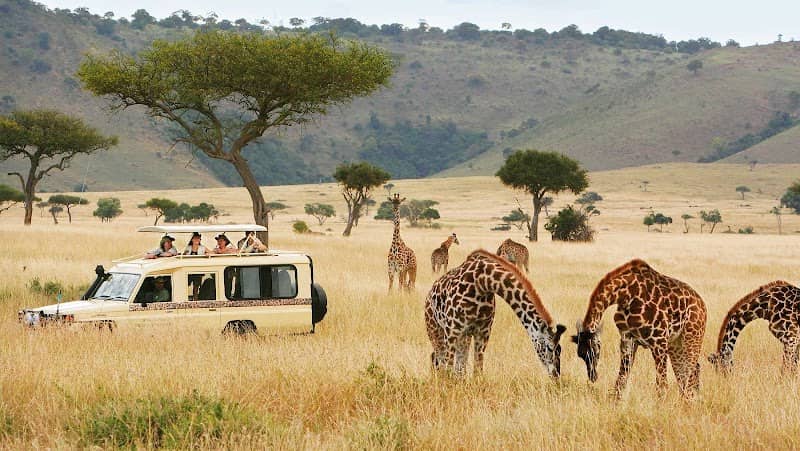 Clafricantours - Image 1
