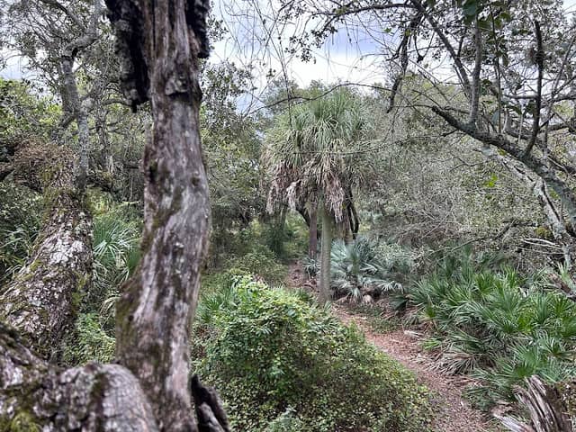 Tortuga Trail North Entrance - Image 2