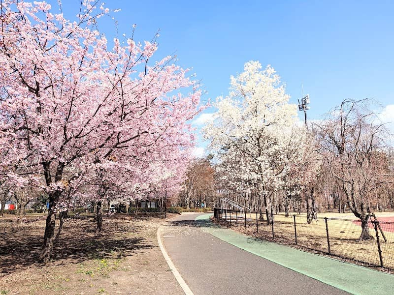 Sakura City Park - Image 1