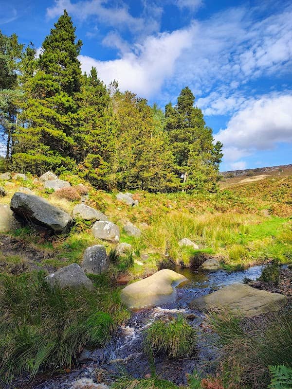 Burbage Valley Plantation - Image 2