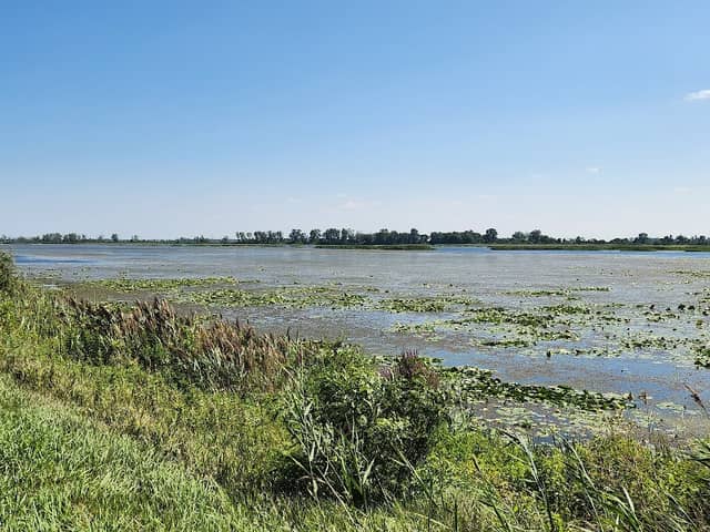 Metzger Marsh Wildlife Area - Image 1