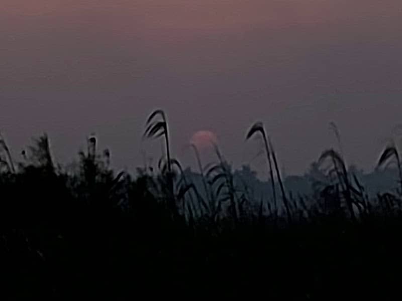 Dingelpota sunset view point - Image 2
