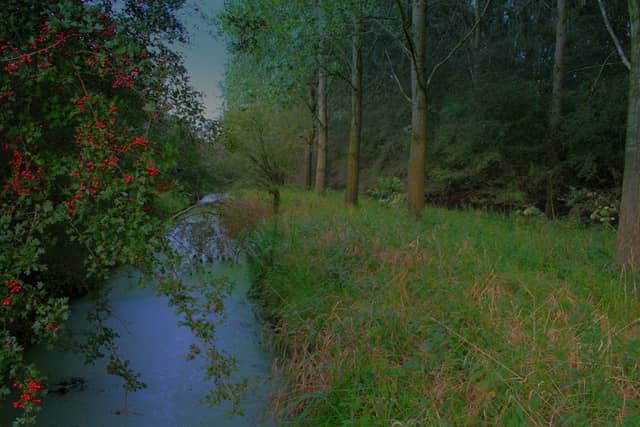 Natuurgebied Polder Bolgerijen - Image 1