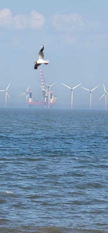 Ice ring Skegness - Image 1