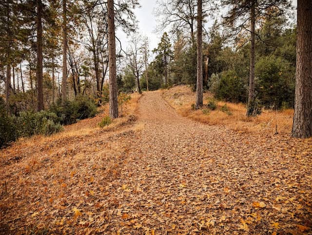 Thornberry Mountain Trailhead - Image 2