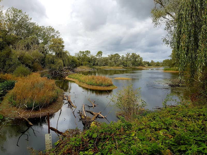 Paxton Pits Nature Reserve - Image 3