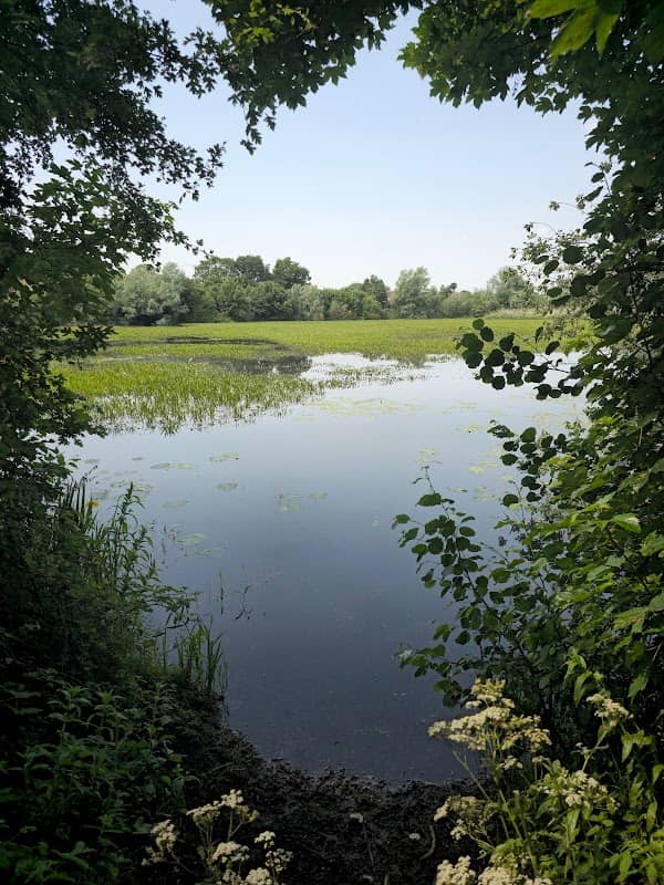 Paxton Pits Nature Reserve - Image 1