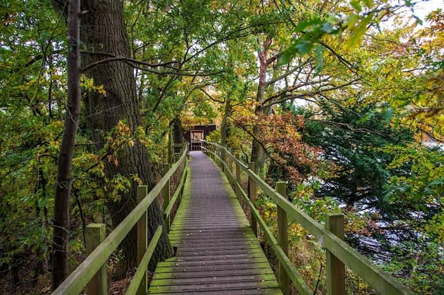 Paxton Pits Nature Reserve - Image 2