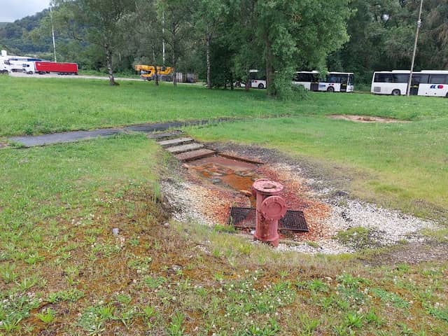 Podlanický medokýš - Image 1