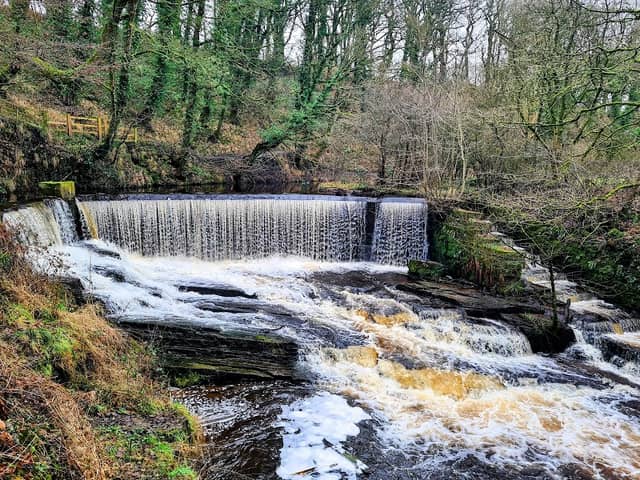 Yarrow Valley Park - Image 1